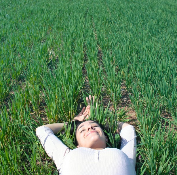 Capture d’écran 2024-11-14 145421